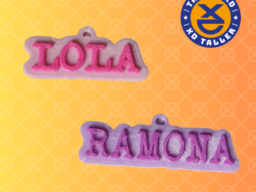 placa mascota