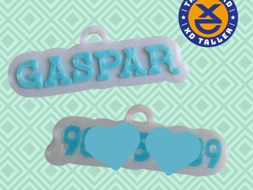 placa mascota
