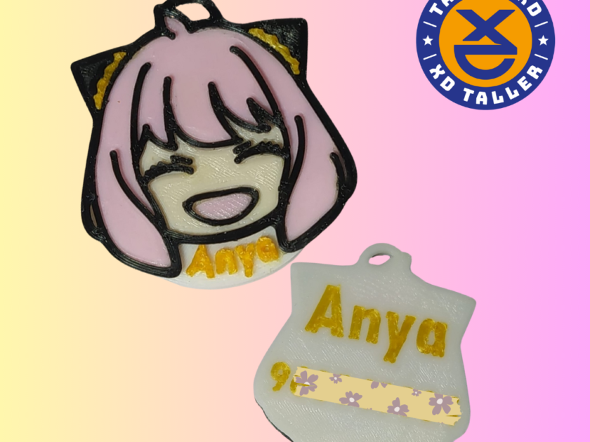 placa mascota